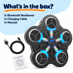Bluetooth BeatBoxer Wall Trainer